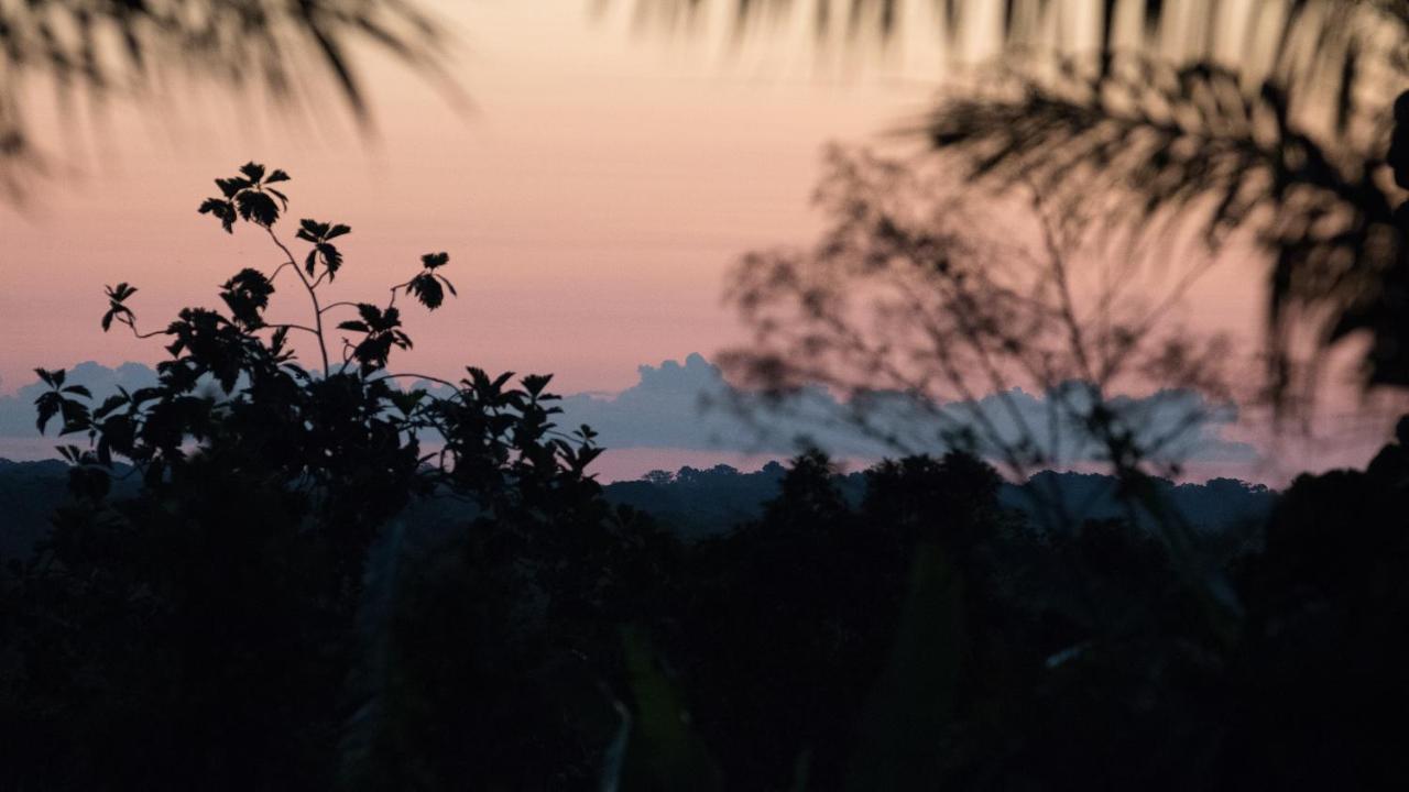 Pacaya Samiria Amazon Lodge Nauta Εξωτερικό φωτογραφία
