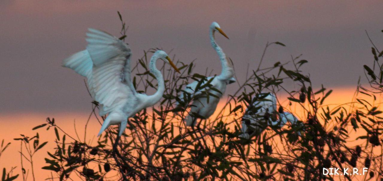 Pacaya Samiria Amazon Lodge Nauta Εξωτερικό φωτογραφία