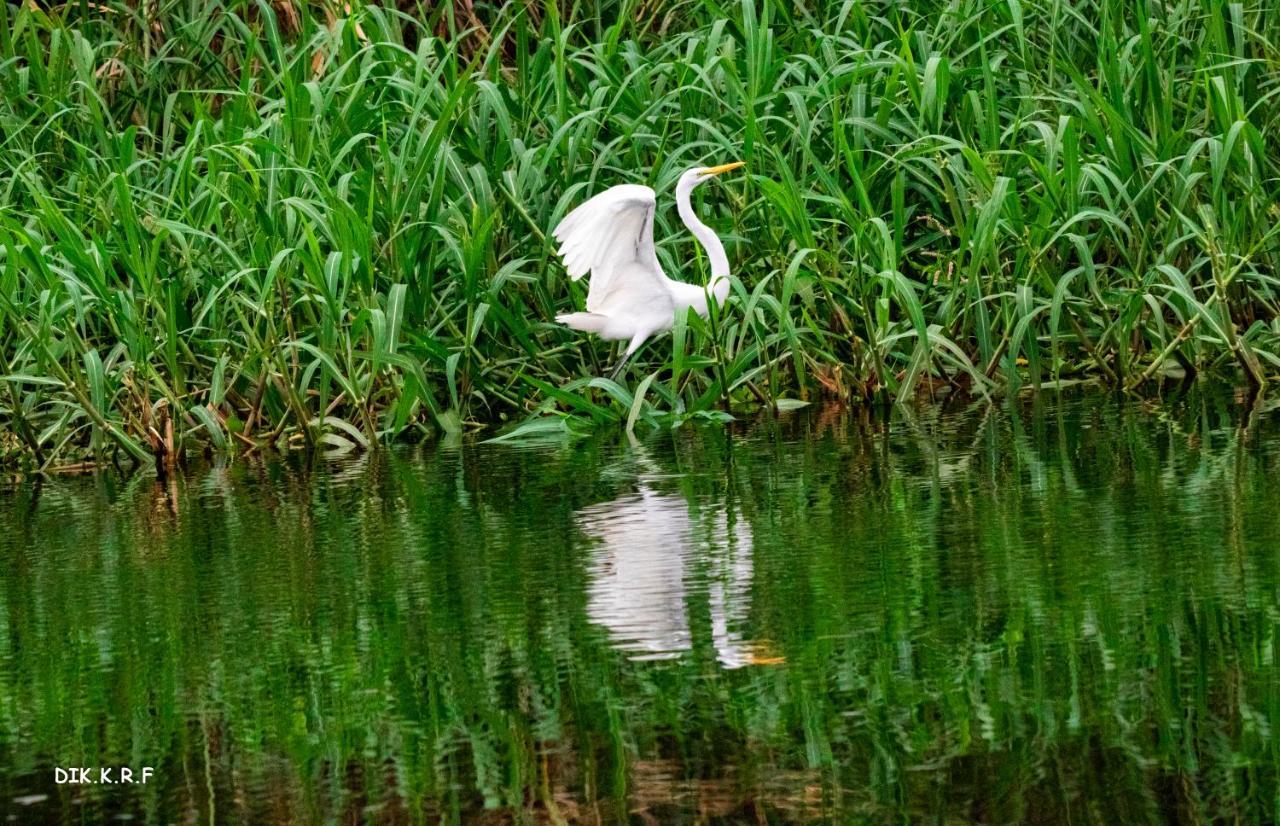 Pacaya Samiria Amazon Lodge Nauta Εξωτερικό φωτογραφία